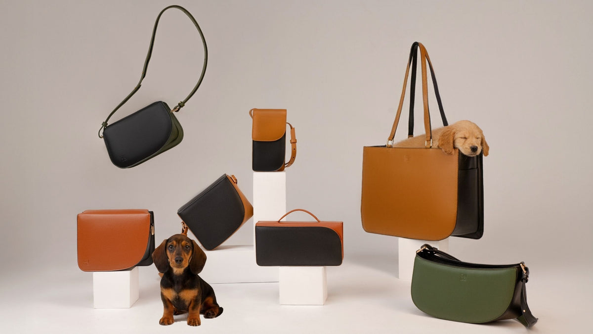 The Arc: The Story Behind ALMA’s Signature Collection